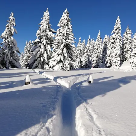 Jaufenthaler Zettersfeld لينز